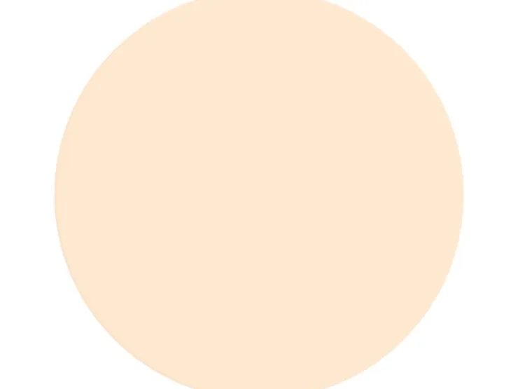 Alpina Wandfarbe Pure Farben 2,5 l* Innenfarben