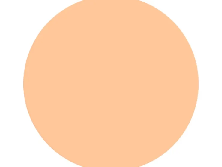 Alpina Wandfarbe Pure Farben Papayaorange 2,5 l
