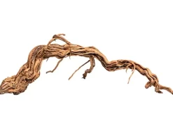 Aquriendekoration Curl-Holz S* Terraristik