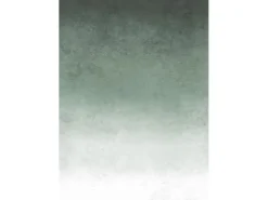 Art for the Home Fototapete Fading groen 280 x 200 cm