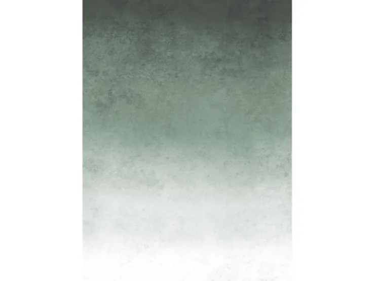 Art for the Home Fototapete Fading groen 280 x 200 cm