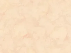 AS-Creation A.S. Creation Vliestapete Uni Beige FSC®* Dekorative Tapeten