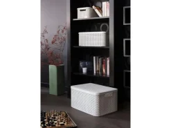 Curver Aufbewahrungsboxen Style 3-er Set Creme S + M + L* Aufbewahrung