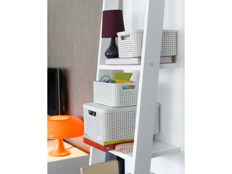 Curver Aufbewahrungsboxen Style 3-er Set Creme S + M + L* Aufbewahrung