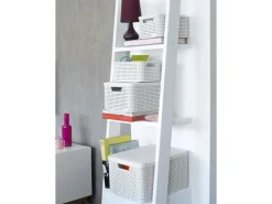 Curver Aufbewahrungsboxen Style 3-er Set Creme S + M + L* Aufbewahrung