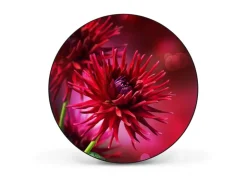 Banjado Magnettafel Rund Größe 47cm Magnetwand Schwarz Aus Metall Magnetpinnwand Pinnwand Motiv Rote Dahlien* Pinnwände