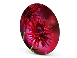 Banjado Magnettafel Rund Größe 47cm Magnetwand Schwarz Aus Metall Magnetpinnwand Pinnwand Motiv Rote Dahlien* Pinnwände