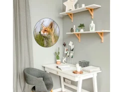 Banjado Magnettafel Rund Größe 47cm Magnetwand Schwarz Aus Metall Magnetpinnwand Pinnwand Motiv Fuchs