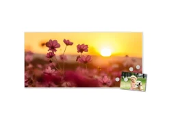 Banjado Magnettafel 78x37cm Magnetwand Weiß Aus Metall Magnetpinnwand Pinnwand Inkl. 4 Magnete Motiv Cosmea Feld* Wanddekoration