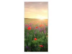 Banjado Magnettafel 37x78cm Magnetwand Weiß Aus Metall Magnetpinnwand Pinnwand Inkl. 4 Magnete Motiv Sommerfeld* Pinnwände
