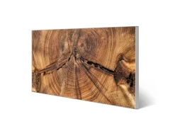 Banjado Magnettafel 78x37cm Magnetwand Silber Aus Metall Magnetpinnwand Pinnwand Inkl. 4 Magnete Motiv Jahresringe* Pinnwände