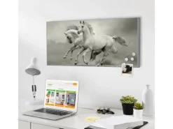Banjado Magnettafel 78x37cm Magnetwand Silber Aus Metall Magnetpinnwand Pinnwand Inkl. 4 Magnete Motiv Wilde Pferde Sw* Wanddekoration