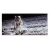 Banjado Magnettafel 78x37cm Magnetwand Silber Aus Metall Magnetpinnwand Pinnwand Inkl. 4 Magnete Motiv Astronaut* Schweberegale