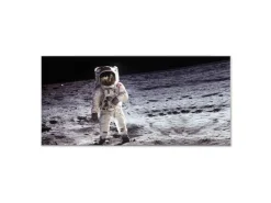 Banjado Magnettafel 78x37cm Magnetwand Silber Aus Metall Magnetpinnwand Pinnwand Inkl. 4 Magnete Motiv Astronaut* Schweberegale