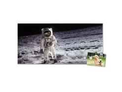 Banjado Magnettafel 78x37cm Magnetwand Silber Aus Metall Magnetpinnwand Pinnwand Inkl. 4 Magnete Motiv Astronaut* Schweberegale