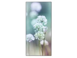 Banjado Magnettafel 37x78cm Magnetwand Schwarz Aus Metall Magnetpinnwand Pinnwand Inkl. 4 Magnete Motiv Lauchblüte* Pinnwände