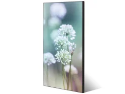 Banjado Magnettafel 37x78cm Magnetwand Schwarz Aus Metall Magnetpinnwand Pinnwand Inkl. 4 Magnete Motiv Lauchblüte* Pinnwände
