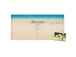 Banjado Magnettafel 78x37cm Magnetwand Weiß Aus Metall Magnetpinnwand Pinnwand Inkl. 4 Magnete Motiv Postkarte* Pinnwände