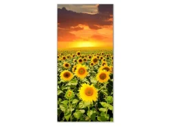 Banjado Magnettafel 37x78cm Magnetwand Silber Aus Metall Magnetpinnwand Pinnwand Inkl. 4 Magnete Motiv Sonnenblumenmeer* Pinnwände
