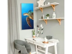 Banjado Magnettafel 37x78cm Magnetwand Silber Aus Metall Magnetpinnwand Pinnwand Inkl. 4 Magnete Motiv Wasserschildkröte* Pinnwände