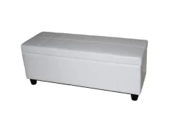 BERLINLODGE Aufbewahrungs-Truhe Sitzbank Lars 45x112x45cm Leder & Kunstleder* Aufbewahrung