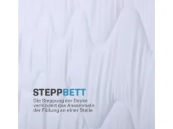 Bestlivings 4 Jahreszeitenbett mit Blauer Biese 240 cm x 260 cm* Decken|Bettwäsche
