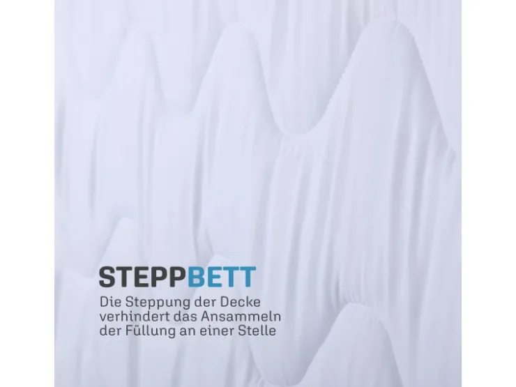 Bestlivings 4 Jahreszeitenbett mit Blauer Biese 240 cm x 260 cm* Decken|Bettwäsche