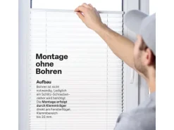 Bestlivings Plissee Faltstore 45 x 150 cm* Rollos