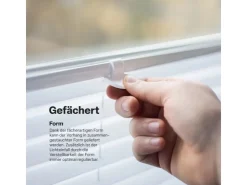 Bestlivings Plissee Faltstore 45 x 150 cm* Rollos