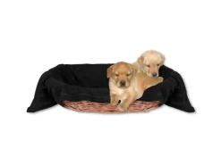 Bestlivings Tierdecke Hundedecke Mikrofaser 70 x 100 cm Schwarz