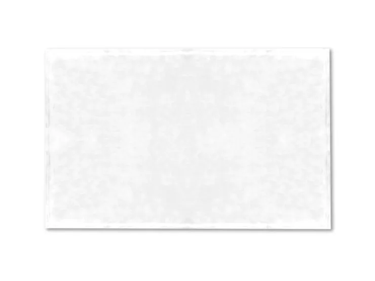 Bestlivings Tierdecke Hundedecke Mikrofaser 70 x 100 cm Weiß