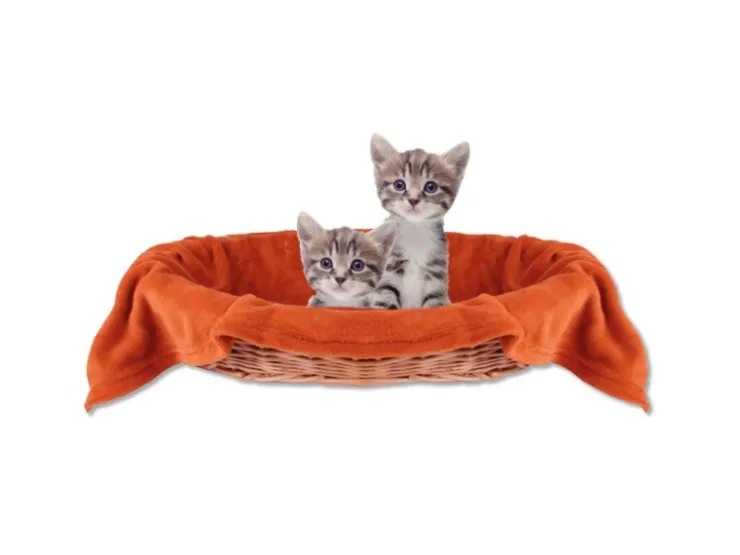 Bestlivings Tierdecke Katzendecke Mikrofaser 80 x 120 cm Terracotta* Überwürfe