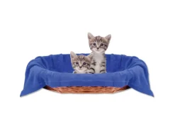 Bestlivings Tierdecke Katzendecke Mikrofaser 60 x 80 cm Blau* Überwürfe