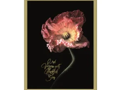 Pro Art Bild mit Rahmen Anonymus Beautiful & Gold IV 42,5 cm x 32,5 cm