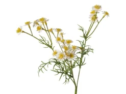 Boltze Stielblume Kamille 3 cm x 10 cm x 48 cm Grün* Kunstpflanzen