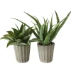 Boltze Topfpflanze Aloe Vera 2-fach Sortiert 50 cm x 15 cm x 50 cm Grün* Kunstpflanzen