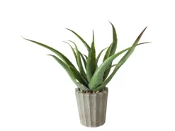 Boltze Topfpflanze Aloe Vera 2-fach Sortiert 50 cm x 15 cm x 50 cm Grün* Kunstpflanzen