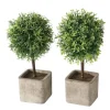 Boltze Topfpflanze Amos 2-fach Sortiert 26 cm x 12 cm x 26 cm Grün* Kunstpflanzen