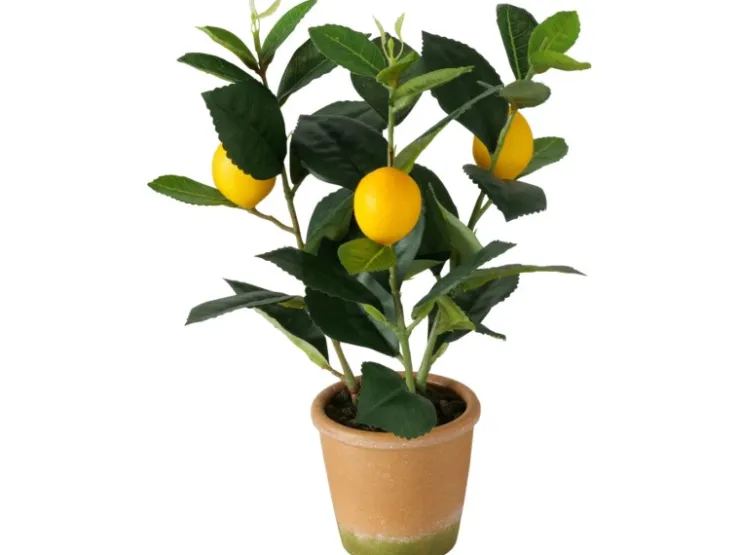 Boltze Topfpflanze Zitrone 32 cm x ø 22 cm Grün-Gelb* Geschenkartikel