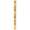 Box mit 12 Eier Orange-Gelb
