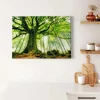 Bricoflor Bild Mit Wald Und Sonnenstrahlen Baum Wandbild In Grün Leinwand Bild Mit Baumkrone Ideal Für Badezimmer Und Schlafzimmer* Wanddekoration