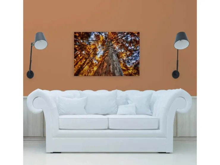 Bricoflor Herbstbild Auf Leinwand Baumkronen Bild Orange Blau Für Wohnzimmer Und Büro Leinwandbild Mit Herbstwald In 90 X 60 Cm* Wanddekoration