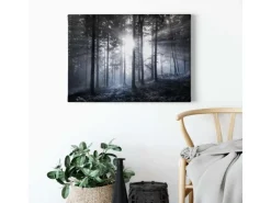 Bricoflor Leinwand Bild Mit Wald In Schwarz Weiß Wandbild Mit Tannenwald In Nebel Schlafzimmer Leinwandbild Mit Wald Und Sonnenstrahlen* Wanddekoration