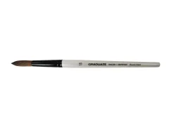 Daler-Rowney Graduate Verwaschpinsel Pony & Synthetische Fasermischung 18* Künstlerzubehör