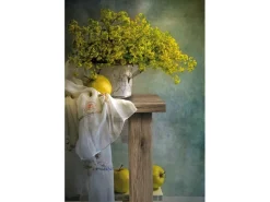 d-c-fix Klebefolie Sanremo 45 cm x 200 cm