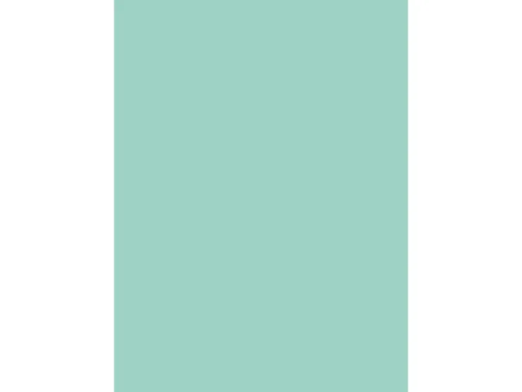 d-c-fix Selbstklebefolie Uni Lack mint 45cm x 2m* Klebefolien
