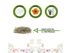 Deine Gartenwelt Gänseblümchen Einfach Weiß Samen
