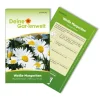 Deine Gartenwelt Margerite Weiß Samen* Vasen