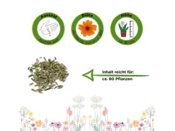 Deine Gartenwelt Margerite Weiß Samen* Vasen