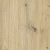 Dekorspanplatte 280 cm x 207 cm x 1,6 cm Eiche Astig* Regalsysteme